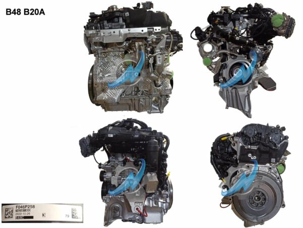 BMW X4 (G02) xDrive 20i Mild Hybrid